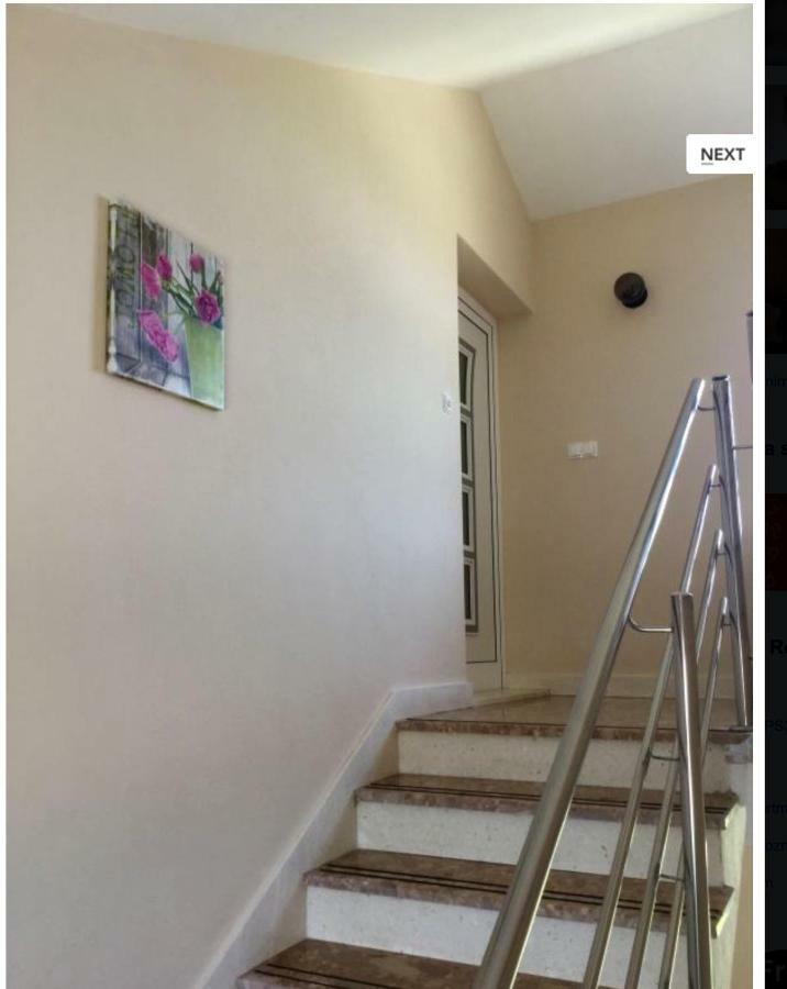 Apartments Antea روغوزنيكا المظهر الخارجي الصورة